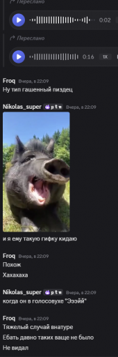 Безымянный1 png