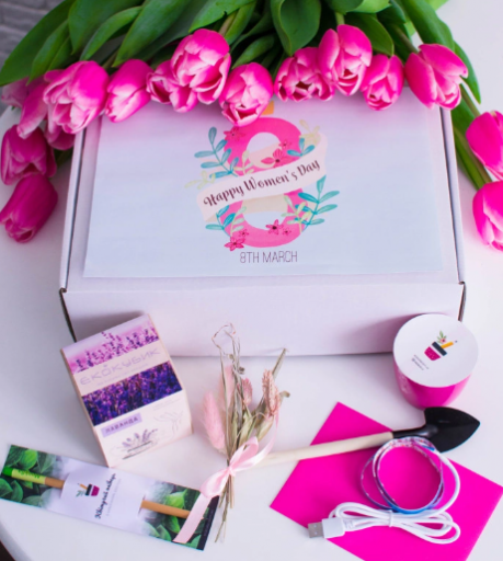 2026 02 20 12 33 34 png