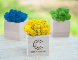 2026 02 23 11 56 47 png