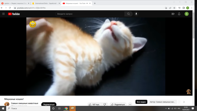 Снимок экрана  1  png