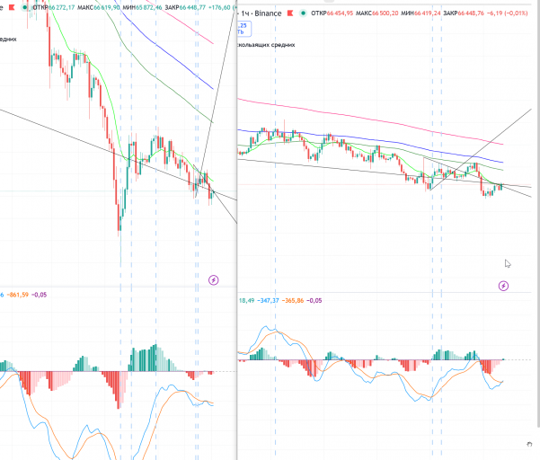 2026 02 13 05 03 45 png