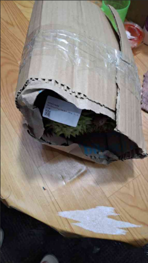 2025 11 06 21 24 51 png