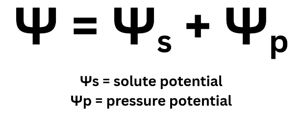 2026 04 24 23 38 57 png