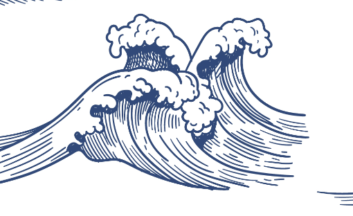 2026 01 08 11 43 39 png