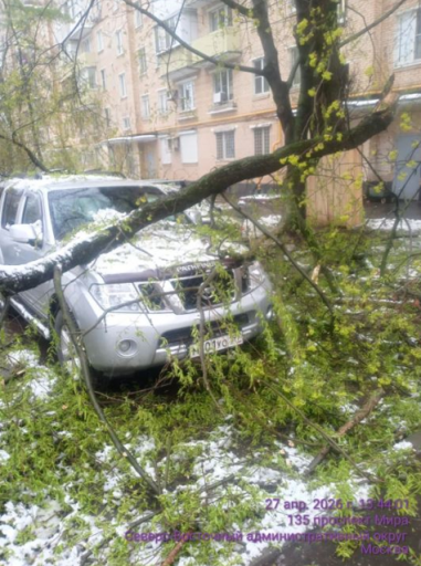 2026 04 29 14 27 12 png