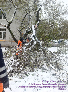 2026 04 29 16 56 01 png