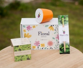 2026 02 23 10 46 08 png