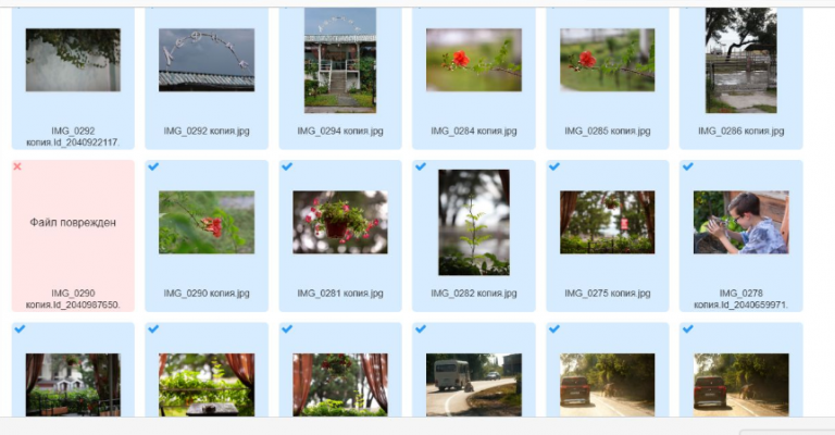 2026 02 25 12 29 12 png