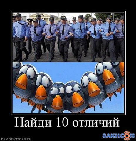 конкурс jpg