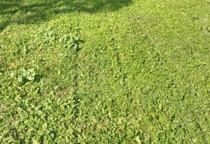 2025 05 29 16 35 41 png