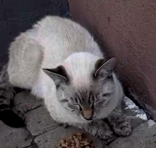 2026 04 03 15 44 18 png