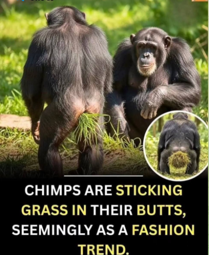 2026 04 26 21 13 39 png