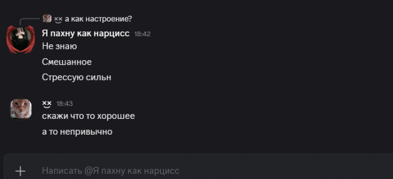 2026 07 28 19 05 34 png