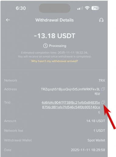 2025 11 11 13 46 36 png