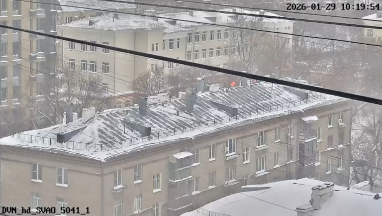 2026 01 29 14 51 28 png