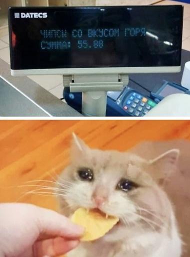 котэ Чипсы еда Баян 8253652 jpeg