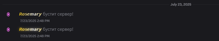 2025 08 24 23 48 05 png