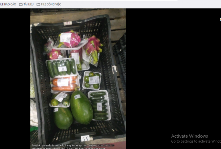 2026 03 08 15 02 16 png