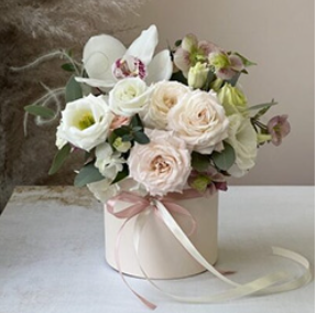 2026 04 11 17 05 31 png