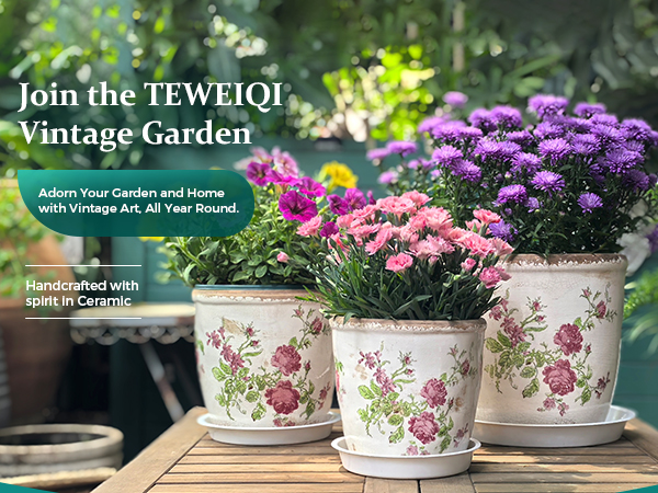 粉花手机端A   L 01 jpg