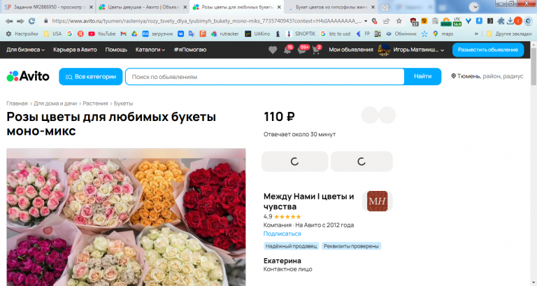 2026 02 05 16 24 20 png