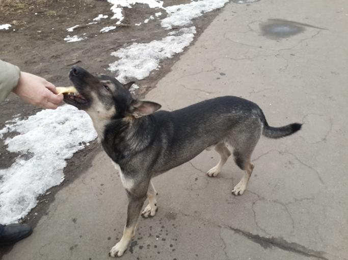 20140404 082641Рекс3