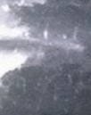 2025 06 05 10 54 46 png