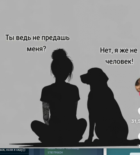 2026 07 11 20 43 57 png