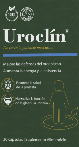 2026 03 25 11 20 03 png