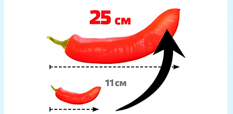 2025 11 27 11 03 01 png