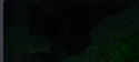 2026 09 15 22 49 54 png