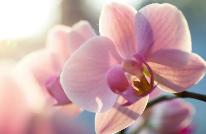 2025 12 05 17 54 33 png