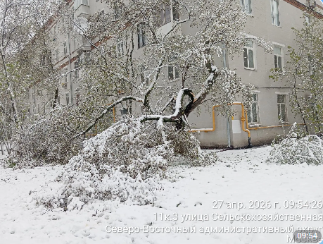 2026 04 29 16 58 33 png