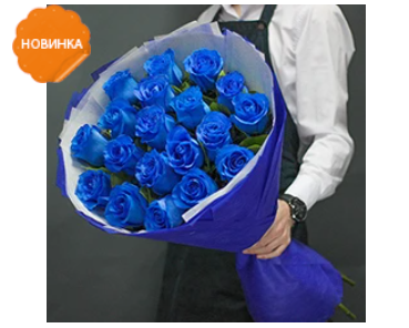 2026 04 25 13 13 09 png