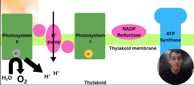 2026 04 26 18 28 13 png