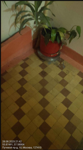 2025 08 29 13 41 07 png