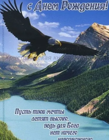 2026 03 18 13 59 29 png