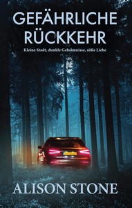 Alison Stone   Gefährliche Rückkehr   Kleine Stadt  dunkle Geheimnisse  süße Liebe jpg