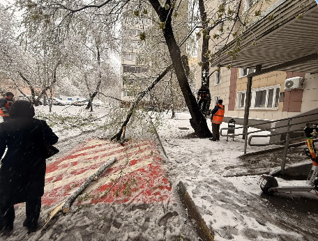 2026 04 29 16 53 11 png