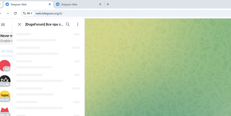 2026 02 19 19 30 02 png